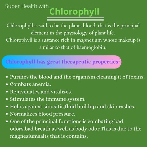 Chlorella Vs Chlorophyll, Benefits Of Chlorophyll Water, Chlorophyll Benefits Women, Liquid Chlorophyll Benefits, Msm Benefits, Benefits Of Chlorophyll, Chlorophyll Benefits, Fitness Recovery, Chlorophyll Water