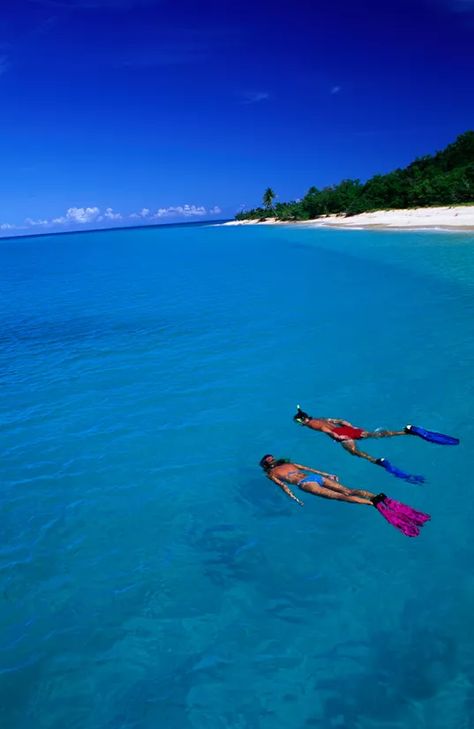 Snorkeling in Buck Island National Monument, St. Croix Buck Island, St Croix Virgin Islands, Sandy West, Underwater Park, Coral Garden, St. Croix, Marine Environment, Charter Boat, Us Virgin Islands