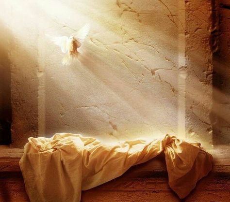 He Is Risen, a faith message about the One who paid he ultimate price out of love for you. Tabernacle Of Moses, Blessed Easter, Marie Madeleine, Resurrection Day, Jesus Is Risen, Resurrection Sunday, Bible Pictures, Jesus Resurrection, Jesus Christ Images