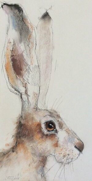 Nicky Litchfield | Hare