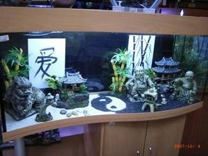 Cool Fish Tank Decorations, Fish Aquarium Decorations, Fish Tank Themes, Aquarium Shrimp, Turtle Habitat, Cool Fish Tanks, Fish Tank Design, Fish Home, Japanese Fish