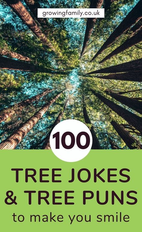 Tree puns and tree jokes for nature-inspired giggles - Growing Family Tree Jokes, Christmas Tree Jokes, Dirty Christmas Jokes, Spring Jokes, Tree Puns, Nature Puns, Funny Math Quotes, Christmas Jokes For Kids, Valentine Jokes