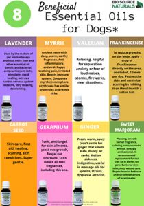 Essential Oils That Are Safe For Dogs, What Essential Oils Are Safe For Dogs, Pet Safe Essential Oils, Essential Oils Safe For Dogs, Dog Safe Essential Oils, Mattress Spray, Essential Oils For Dogs, Essential Oils Dogs, Myrrh Essential Oil