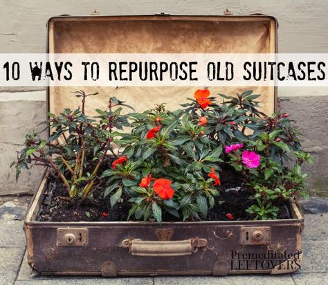 10 Ways to Repurpose Old Suitcases including using an old suitcase to make an herb garden or flower planter Suitcase Planter Ideas, Decorating With Vintage Suitcases, Suit Case Decor Ideas, Decorating With Old Suitcases, Old Suitcases Repurposed, Vintage Suitcases Repurpose, Old Suitcase Decor, Old Suitcase Ideas Repurposed, Old Trunk Ideas Repurposed