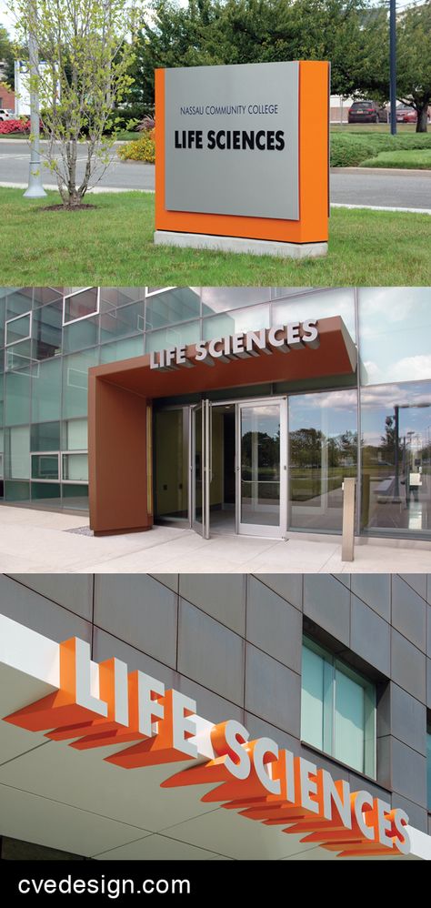 Nassua Community College Life Sciences building/campus signage by Calori & Vanden-Eynden. College Signage Design, Campus Signage, Building Entrance Design, Science Decorations, University Branding, Blue Cupboard, School Signage, Museum Wall, Building Signage