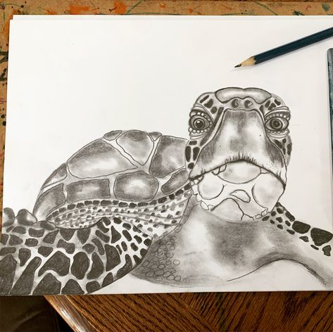 Sea Pencil Drawing, Sketch Animals, Gcse Art Sketchbook, Pencil Shading, Saved Pins, Gcse Art, Doodle Art Designs, Pencil Art Drawings, Art Drawings Sketches Simple