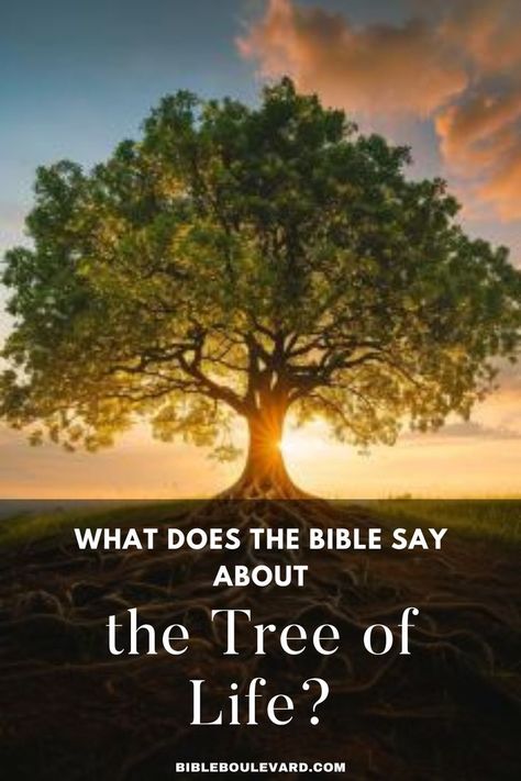 What Does the Bible Say About the Tree of Life? Tree Bible Verse, Work Is Worship, Eden Tree, Children's Church Lessons, Best Bible Verses, The Garden Of Eden, Study Notebook, September 1st, Bible Study Notebook