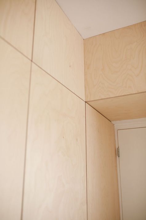 Birch Plywood Walls, Plywood Accent Wall, Hallway Closet, Plywood Walls, Japanese House, Birch Plywood, Tree House, Plywood, Accent Wall