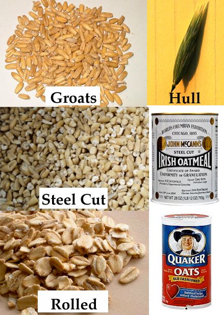 Oats --  In this posting, I describe the process of harvesting, threshing and winnowing the grain.  I also share some a tip about how to cook it. Growing Oats, Cooked Oats, Livestock Judging, Preschool Garden, Mini Farm, Food Forest, Home Vegetable Garden, Survival Food, Vegetable Gardening