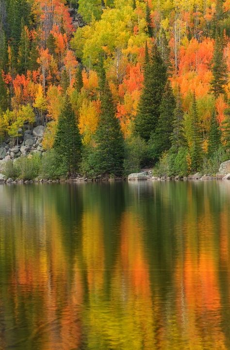 Fall In Estes Park, Estes Park Colorado Fall, British Columbia Winter, Fall Szn, Travel Colorado, Fall Lovers, Colorado Fall, Visit Colorado, Telluride Colorado