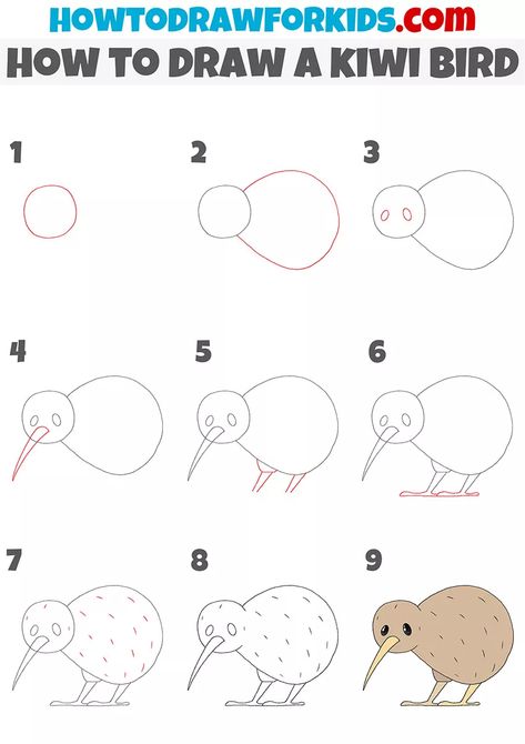 How to Draw a Kiwi Bird - Easy Drawing Tutorial For Kids How To Draw A Kiwi Bird, Kiwi Bird Drawing Easy, Kiwi Reference, Kiwi Bird Drawing, Bird Easy Drawing, Kiwi Bird Art, Kiwi Animal, Kiwi Drawing, Bird Pencil Drawing