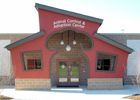 Cute entrance! Animal Shelter Design, Indoor Dog Park, Pet Store Design, Dog Boarding Facility, Dog Boarding Kennels, Dog Kennel Designs, Dog Grooming Shop, Cat Hotel, Dog Hotel