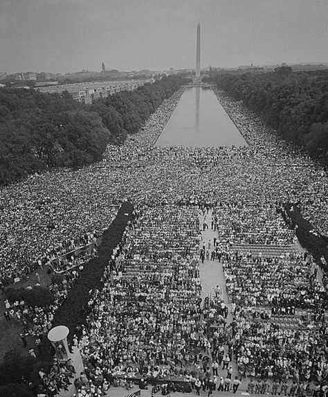 Martin Luther King and the March on Washington March On Washington, Dr Martin Luther King Jr, Dr Martin Luther King, Lincoln Memorial, Washington Monument, A Moment In Time, African History, King Jr, Us History