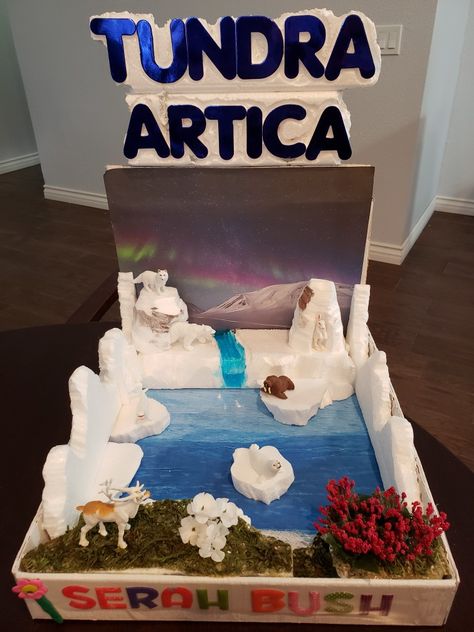 Tundra Diorama For Kids, Arctic Fox Diorama, Arctic Tundra Biome Project, Inuit Diorama, Tundra Biome Project, Antarctica Crafts, Artic Habitat, Tundra Diorama, Tundra Project