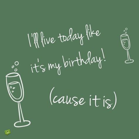 I'll live today like it's my birthday! (cause it is). Quotes My Birthday, It's My Birthday Quotes, It’s My Birthday Quotes, Happy Birthday Facebook Post, My Birthday Quotes, My Birthday Status, Wishes Song, Birthday Dp, Happy Birthday Wishes Song