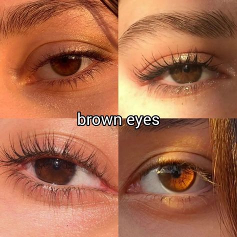 what is the colour of your eyes? ♡ follow @jeonrencia for more! 🍂 ✧₊˚. Eye Colour Chart, Light Amber Eyes, Eye Colours, Eye Color Chart, Amber Eyes, Eye Chart, Types Of Eyes, Brown Eye, Light Eyes