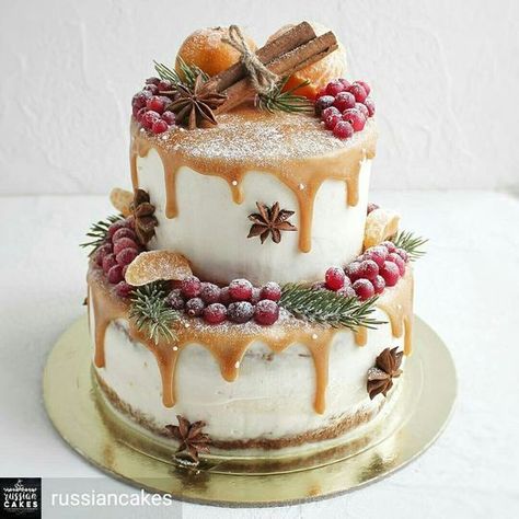 Pinterest  Cake decorating ideas Christmas Cake Decorating, Winter Torte, Resipi Kek, Kodiak Cakes, Christmas Cake Decorations, Cupcake Cake, Christmas Cooking, Holiday Cakes, Drip Cakes