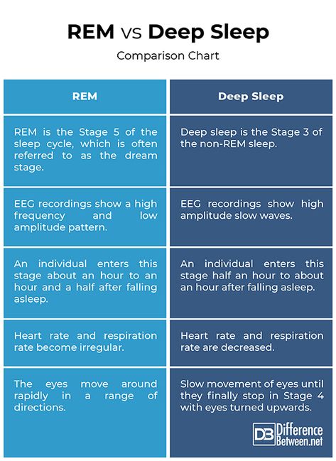 Difference Between REM and Deep Sleep Rem Sleep Cycle, Basic Anatomy, Student Notes, Sleeping Well, Basic Anatomy And Physiology, Benefits Of Sleep, Sleepy Girl, Baby Sleep Schedule, Rem Sleep