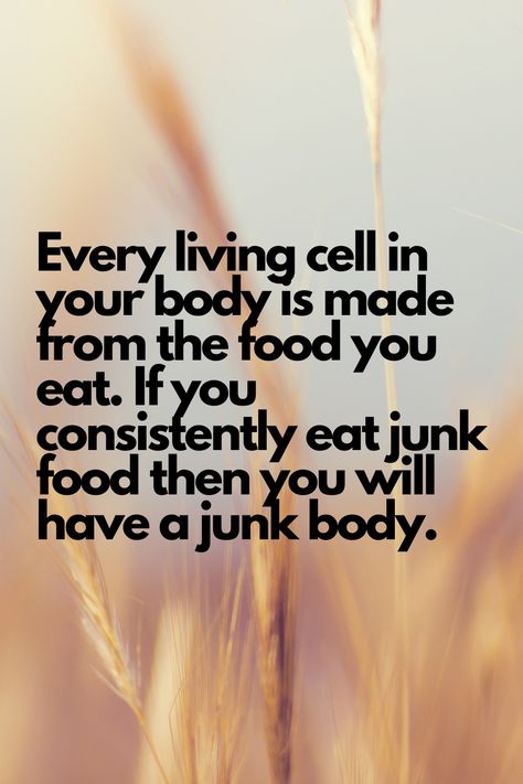 Every living cell in your body is made from the food you eat. If you consistently eat junk food then you will have a junk body. Junk Food Quotes, No Junk Food, Eating Outside, Dr Book, Herbs For Health, Food Quotes, Eat Well, Keto Meal Plan, Best Investments