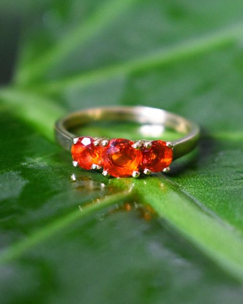 Introducing two beautiful rings from our collection to spice up your style. On the left is a three stone fire opal ring set in 9ct Yellow gold. Available for £590. On the right is an oval shape orange Sapphire set in 9ct Yellow Gold. Available for £580. • • • • For more details on these products, please contact us via klimekjewellers@hotmail.com or visit our website. www.klimekjewellers.co.uk #jewellery #klimekjewellers #cornwall #jewellers #truro #lemonstreet #local #shop Local Shop, Fire Opal Ring, Truro, Orange Sapphire, Opal Ring, Opal Rings, Three Stone, Spice Up, Fire Opal