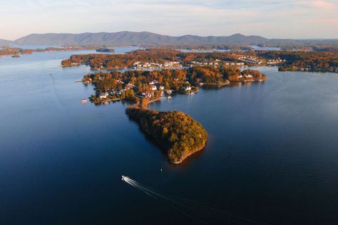 Set against the Blue Ridge Mountains, the scenic Smith Mountain Lake in Virginia is often compared to Lake Tahoe and offers plenty of recreational activities. Smith Mountain Lake Virginia, Smith Mountain Lake Va, Blue Ridge Mountains Virginia, Lake Vibes, Virginia Vacation, Smith Mountain Lake, Southern Travel, Lake Vacation, Summer Lake