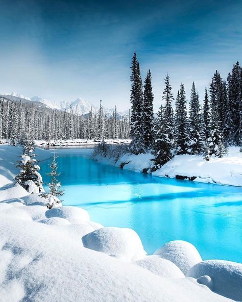 Snow Covered Trees, Winter Scenery, Winter Beauty, Snow Scenes, Winter Pictures, Banff National Park, Alam Yang Indah, Winter Landscape, Pretty Places