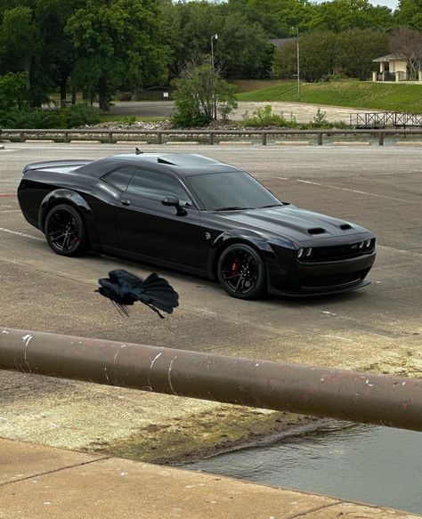 Hellcat Aesthetic Wallpaper, Hellcat Aesthetic, Dodge Hellcat, ماثيو ماكونهي, Dodge Challenger Sxt, Challenger Hellcat, Dodge Charger Hellcat, Dodge Challenger Hellcat, Gtr Car