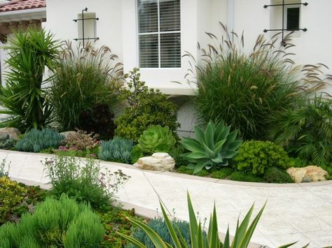 Succulent Path Garden Walkway and Path Designs by Shellene San Diego, CA Succulent Garden Landscape, Low Water Plants, Succulent Landscape Design, Modern Front Yard, Succulent Garden Design, Landscaping Simple, Succulent Landscaping, Drought Tolerant Landscape, Dry Garden