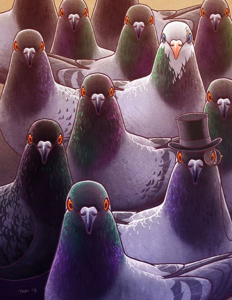 Kuş Pigeon, Birds, Deviantart, Hats