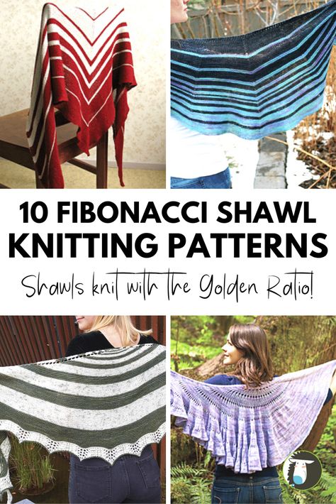 10 Stunning Fibonacci Shawl Knitting Patterns featuring the Golden Ratio — Blog.NobleKnits Pi Shawl, Knitting Patterns For Beginners, Knitting Shawl, Shawl Knitting, Knit Scarves, The Golden Ratio, Knit Projects, Knitted Shawl, Creative Crochet