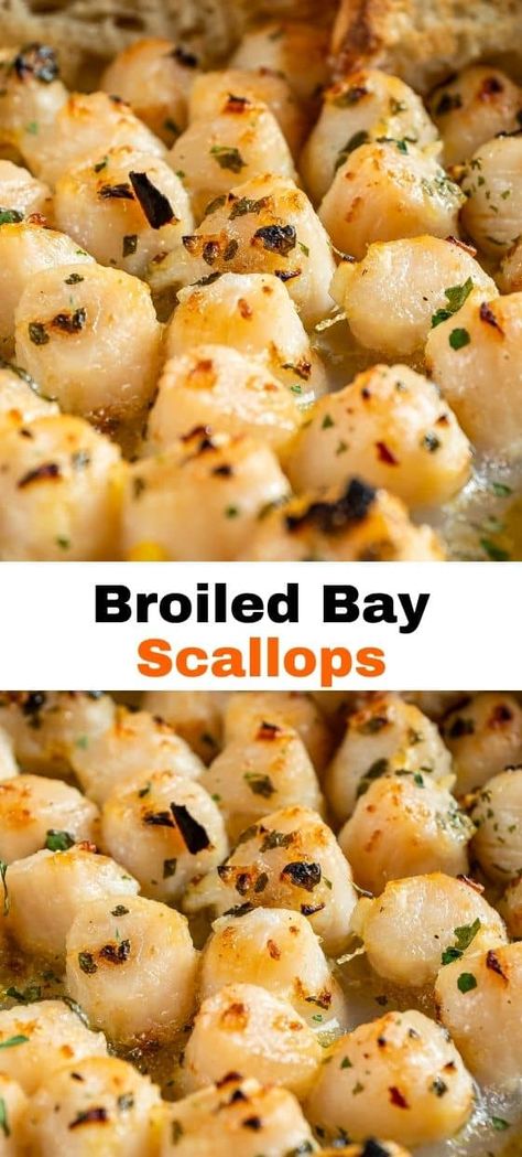 Taste the flavors of the ocean with our Broiled Bay Scallops Recipe, where tender scallops are seasoned and broiled to perfection, creating a delectable seafood dish that's both elegant and easy to prepare. For a diverse collection of seafood recipes and culinary inspiration, don't forget to follow us and bring the taste of the sea to your kitchen! Bay Scallops And Pasta Angel Hair, How To Cook Bay Scallops, Bay Scallops Sauteed, Frozen Bay Scallop Recipes, Mini Scallops Recipe, Small Scallops Recipe, Bay Scallop Recipes Easy, Scallops Dishes, Bay Scallops Recipe