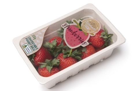 Frozen Fruit Packaging, Blueberry Packaging, Berry Packaging, Fresh Food Packaging, Vegetable Packaging, Clamshell Packaging, Flexible Packaging, Fruit Packaging, Strawberry Farm