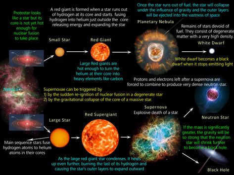 Star Formation (Stellar Evolution or Life Cycle Of A Star) | PMF IAS Gravitational Potential Energy, Hubble Pictures, Supernova Explosion, Planetary Nebula, Astronomy Facts, Neutron Star, Star Formation, Biology Lessons, Andromeda Galaxy