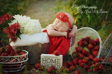 This precious newborn photoshoot turned out amazing. Her momma craved strawberries and this just seemed perfect for a newborn shoot! #newbornphotography #newborn #strawberries #babyphotoshoot Newborn Strawberry Photoshoot, Strawberry Newborn Photography, Strawberry Newborn Photo Shoot, Strawberry Patch Photoshoot, Strawberry Baby Photo Shoot, Strawberry Photoshoot, 2023 Photoshoot, Inspi Photo, Edge Photography