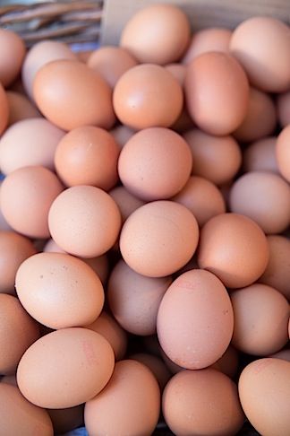 Storing Eggs, Egg Pictures, The Boiled Egg Diet, Fresh Egg, Egg Shop, Brown Eggs, Boiled Egg Diet, Farm Eggs, Shapes Images