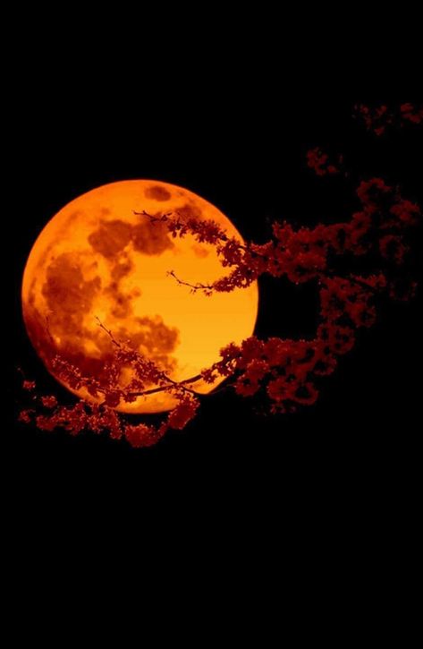 Red Shadow Aesthetic, Orange And Black Aesthetic, Black And Orange Aesthetic, Moon Orange, Orange Core, Full Moon Tattoo, Floral Thigh Tattoos, Orange Icons:), Moon Icon