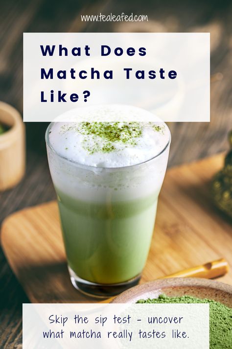 You’ve heard about the hype but are still wondering what does matcha tea taste like? Well, wonder no more with this detailed guide. What Does Matcha Taste Like, What Is Matcha, Health Benefits Of Tea, Benefits Of Green Tea, Benefits Of Tea, Best Green Tea, Tea Health Benefits, Green Tea Benefits, Tea Tasting