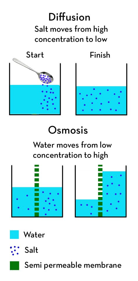 Chemistry Basics, Study Biology, Teaching Chemistry, Study Flashcards, Chemistry Lessons, Chemistry Notes, Biology Lessons, Medical School Studying, Science Notes