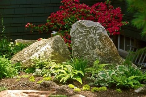 backyard idea Boulder Landscaping, Landscaping With Boulders, Small Front Yard Landscaping, Driveway Entrance, Rock Garden Design, Small Front Yard, Rock Landscaping, Easy Landscaping, Front Yard Ideas