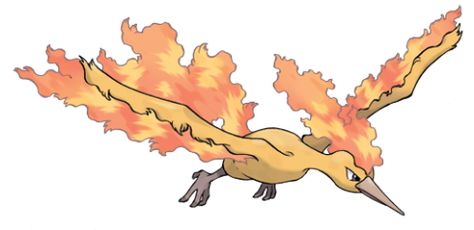 Moltres (Concept) - Giant Bomb All 151 Pokemon, Pokemon Fire Red, Moltres Pokemon, Pokemon Website, Original 151 Pokemon, Pokemon Wiki, Pokemon Original, Bird Pokemon, Gen 1 Pokemon