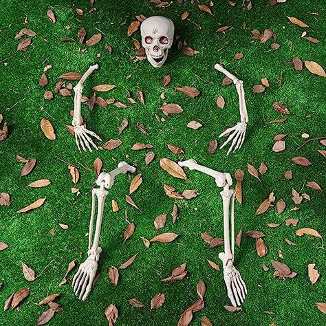 JOYIN 5 PCS Life Size Groundbreaker Skeleton Stakes Halloween Decorations, Full Body Skeleton Yard Stake Realistic Yard Lawn Garden Stakes for Halloween Yard Outdoor Decorations Halloween Fence Decorations, Skeleton Decorations Outdoor, Full Body Skeleton, Body Skeleton, Halloween Outdoor Decoration, Halloween Lawn, Halloween Skeleton Decorations, Halloween Graveyard, Skeleton Decorations