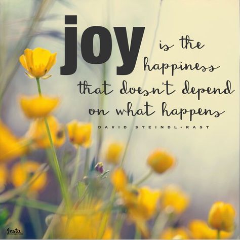 “Joy is the happiness that doesn’t depend on what happens.” —David Steindl-Rast #InstaEncouragements #quotes #joy Patience Citation, Barbie Quotes, Patience Quotes, Quotes Arabic, Joy Quotes, Joy Of The Lord, Happiness Quotes, Robert Kiyosaki, Choose Joy