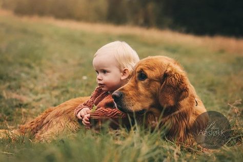 Family Of 3 And Dog Photoshoot, Kids And Dog Photoshoot, Baby And Dog Photoshoot, Outdoor Family Photos With Dog, Fall Family Pictures With Dog, Family Photos With Dogs And Toddler, Family Photos With Dogs And Baby, Family Photos With Baby And Dog, Dog And Baby Pictures