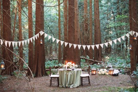 PROPOSAL Dinner In The Woods, Party In The Woods, Picnic Dinner, Outdoor Dinner Parties, Romantic Table, Anniversary Dinner, Anniversary Dates, The Vault, Outdoor Party