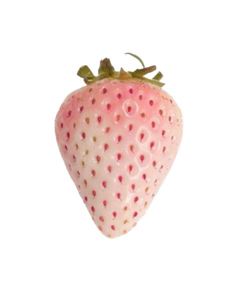 White Strawberry Aesthetic, Pink Strawberry Png, Pink Strawberry Icon, Pink And White Png, Strawberry Art Aesthetic, Coquette Pngs, Pink Pngs, Strawberry Icon, Coquette Strawberry