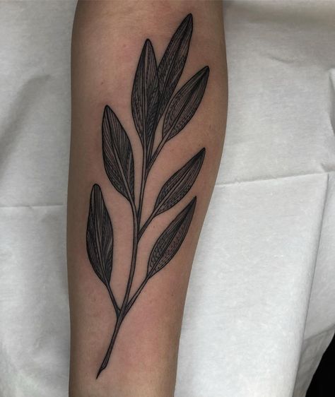 Lil sage leaves this afternoon for my friend @cheeks_the_kid thank you! @blackoaktattoo #222 #blacktattooart #blacktattooing #chicago… Sage Tattoo, 22 Tattoo, Healing Tattoo, Old Tattoos, Sage Leaves, For My Friend, Feminine Tattoos, Love Tattoos, Get A Tattoo