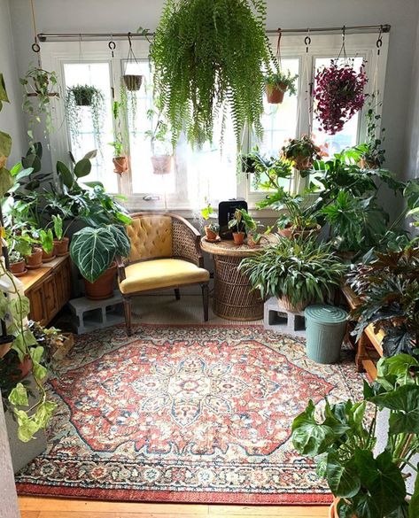 Welcome to my wifes plant room. This has been her hobby for a few years now and its time that everyone should be able to a take a look inside. Earthy Room Aesthetic Boho, Lots Of Plants, Earthy Bedroom, Earthy Home, Plant Room, Sunroom Decorating, Earthy Aesthetic, Deco Nature, Decoration Plante