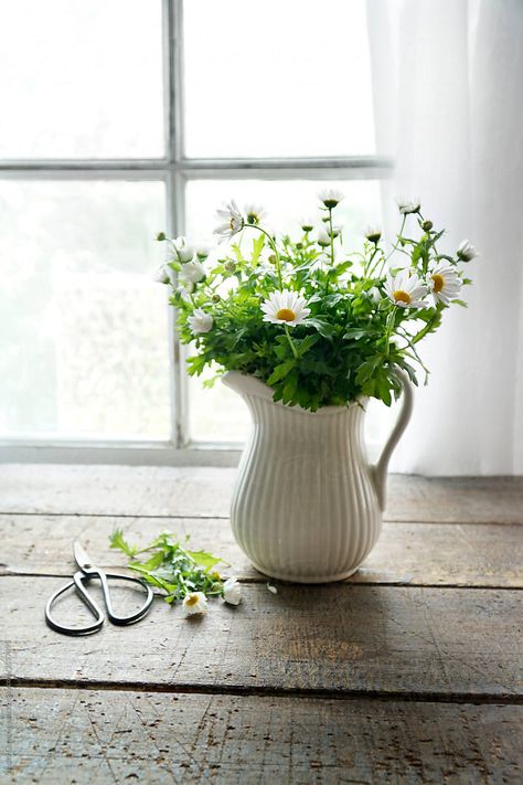 Flowers In White Pitcher, White Pitcher With Flowers, Flowers In Pitcher, Table In Front Of Window, Object References, Summer Arrangements, Daisy Cottage, Dining Room Centerpiece, White Pitcher