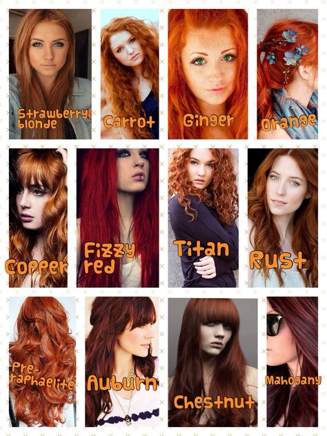 I love every shade of red ❤️ my hair is definitely a Titan ginger ! Shades Of Natural Red Hair, Types Of Red Hair, Different Shades Of Red Hair, Types Of Red, Shades Of Red Hair, Natural Red Hair, Different Shades Of Red, Fesyen Rambut, Hair Color Burgundy