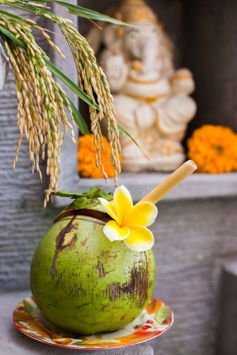 Bali Coconut with Bamboo Straw #Love #Coconuts #Cafe #Bali #Loveandcoconutscafe Coconut Core, Coconut Food, Buddha Bowl Sauce, Bali Coconut, Coconut Tea, Coconut Drink, Tropical Food, Coconut Drinks, Food Summer